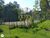 Terreno, 5000 m² - Foto 4