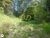 Terreno, 5000 m² - Foto 3