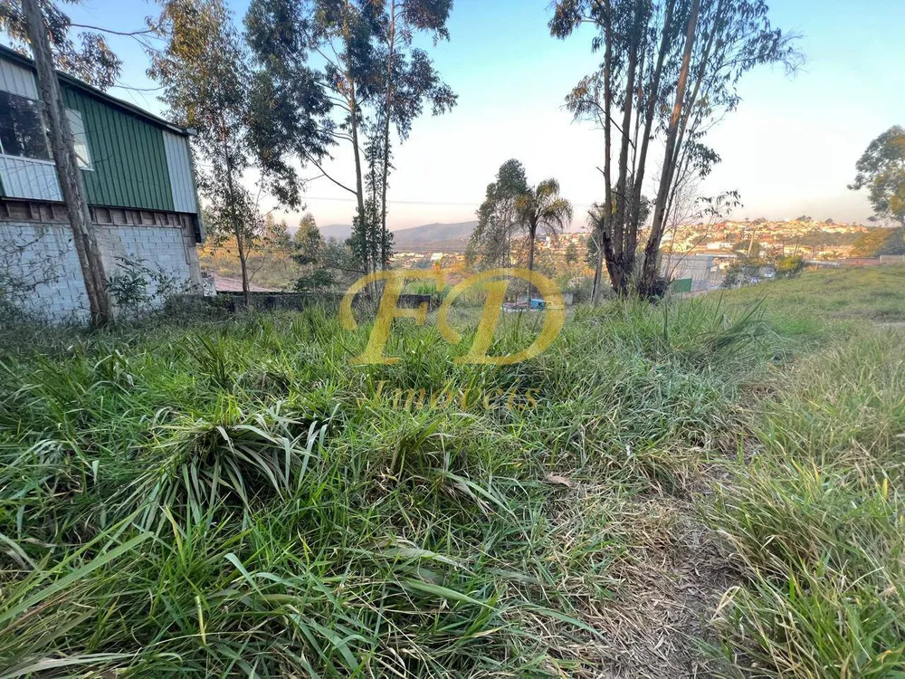Terreno, 7000 m² - Foto 7