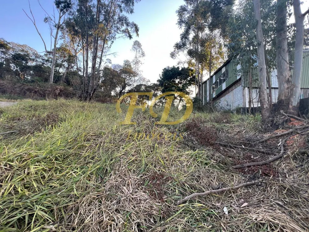 Terreno, 7000 m² - Foto 5