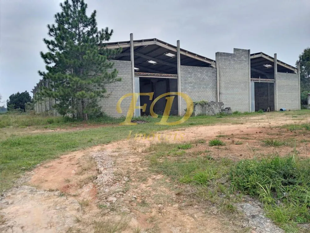 Depósito-Galpão, 2000 m² - Foto 3
