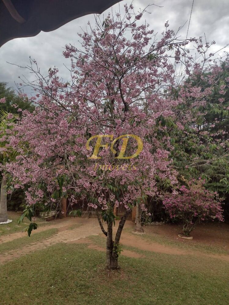 Chácara, 4 quartos, 5664 m² - Foto 23
