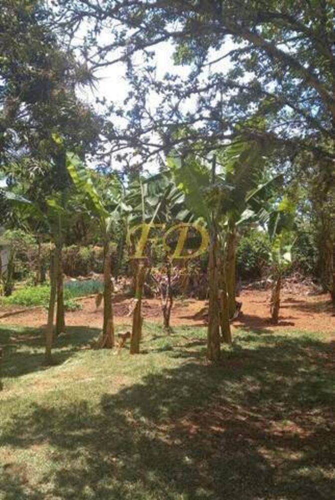 Chácara, 4 quartos, 5664 m² - Foto 19