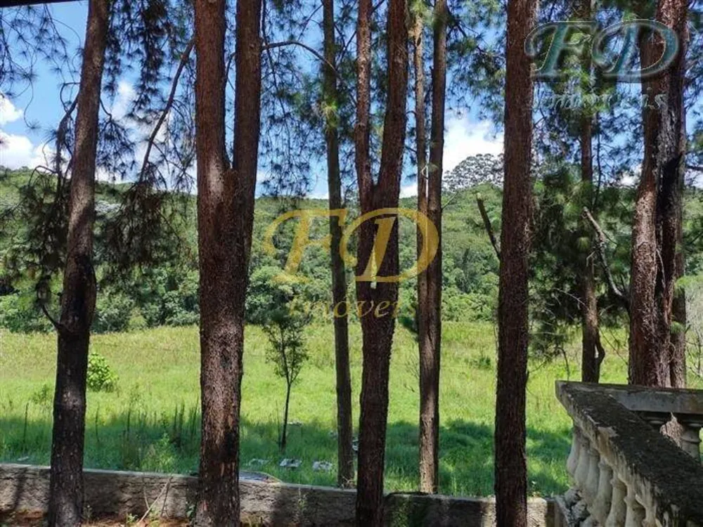 Sítio, 3 quartos, 15 hectares - Foto 4