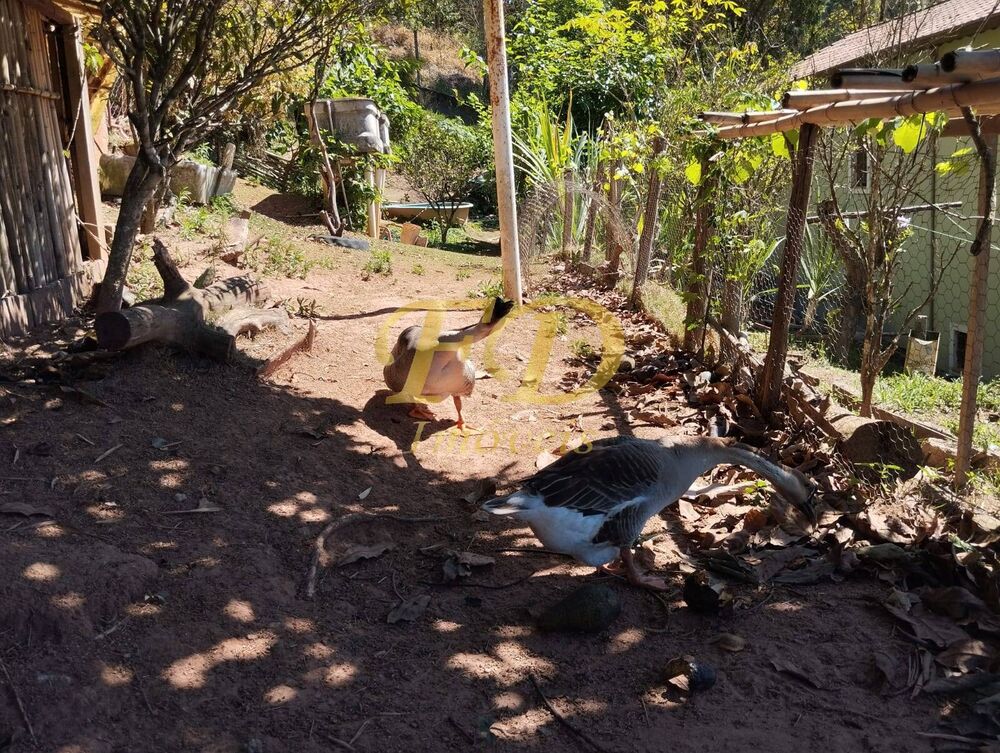 Chácara à venda com 4 quartos, 1565m² - Foto 4