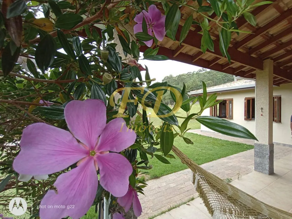 Chácara, 4 quartos, 5000 m² - Foto 4
