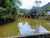 Chácara, 3 quartos, 1 hectares - Foto 4