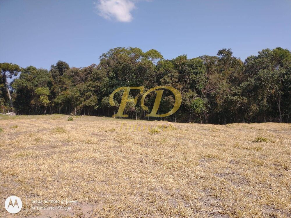 Chácara, 2 quartos, 2 hectares - Foto 19