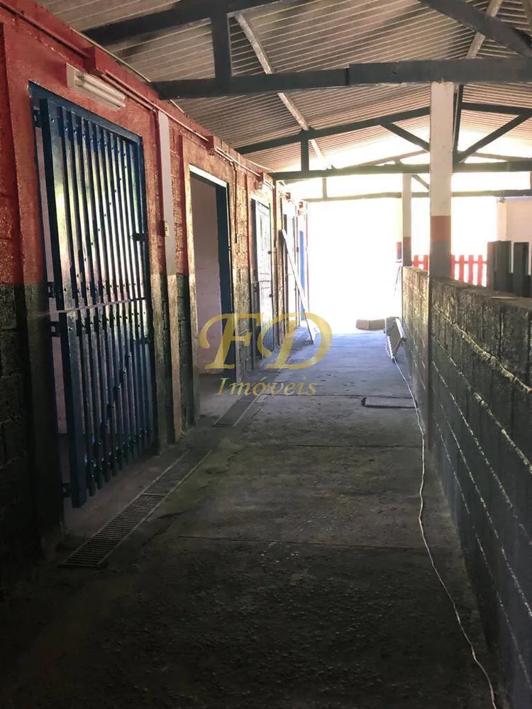 Sítio, 5 quartos, 13 hectares - Foto 20