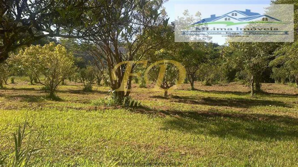 Prédio Inteiro - Foto 3