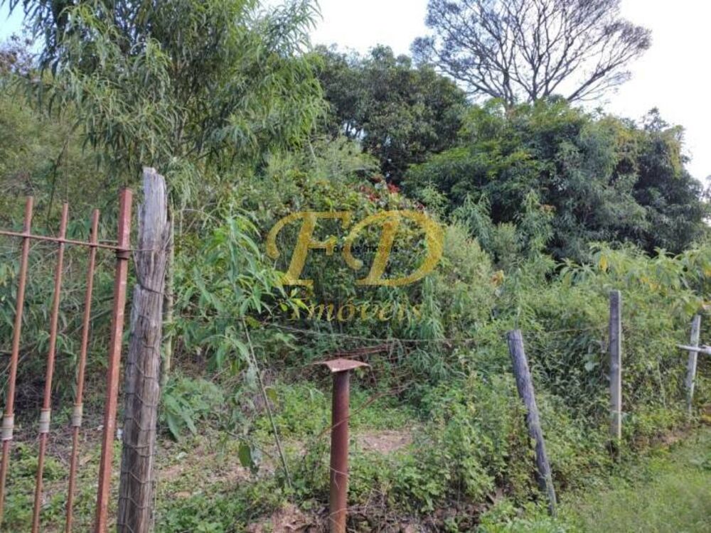 Chácara à venda com 2 quartos, 1600m² - Foto 6