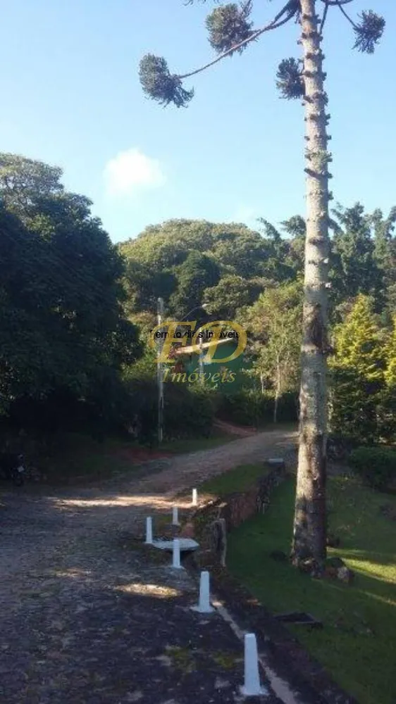 Chácara, 6 quartos, 2231 m² - Foto 7