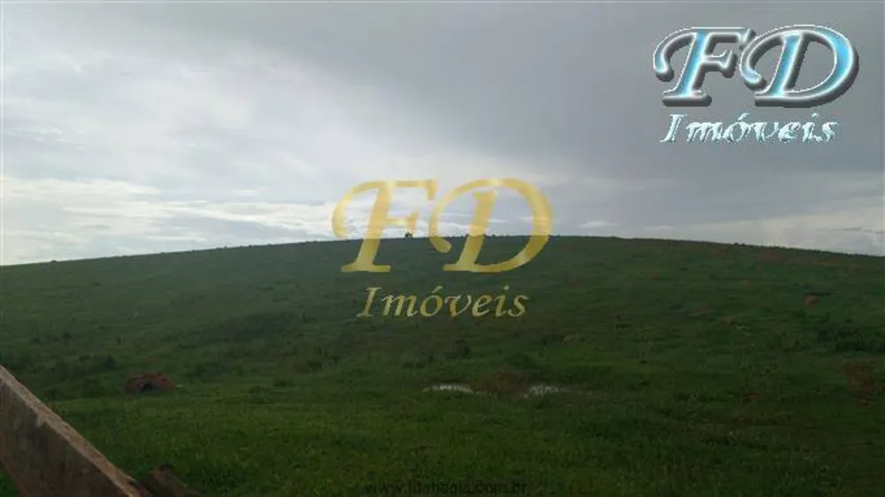 Terreno, 148 hectares - Foto 4