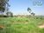 Terreno, 1500 m² - Foto 2