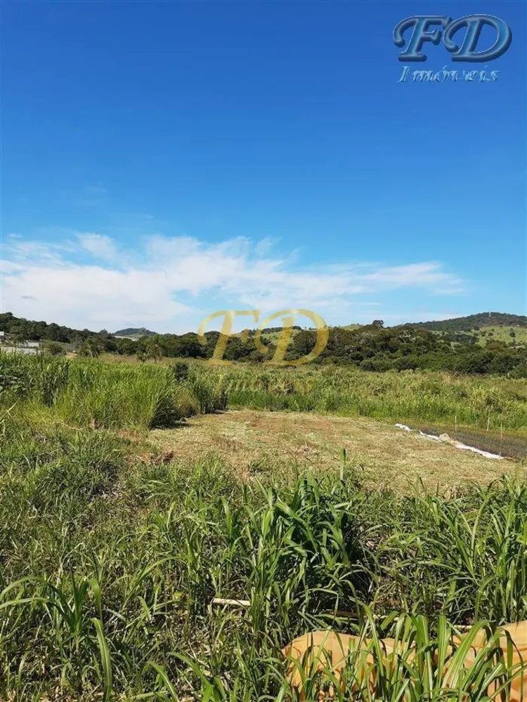 Terreno, 8 hectares - Foto 2