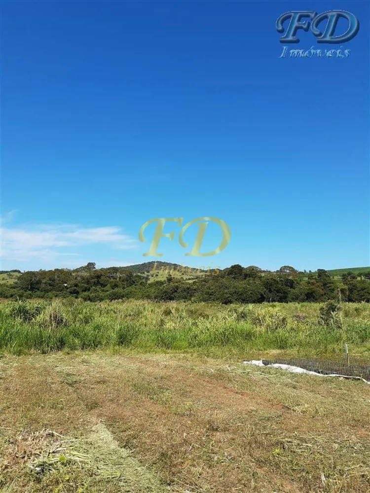 Terreno, 8 hectares - Foto 1