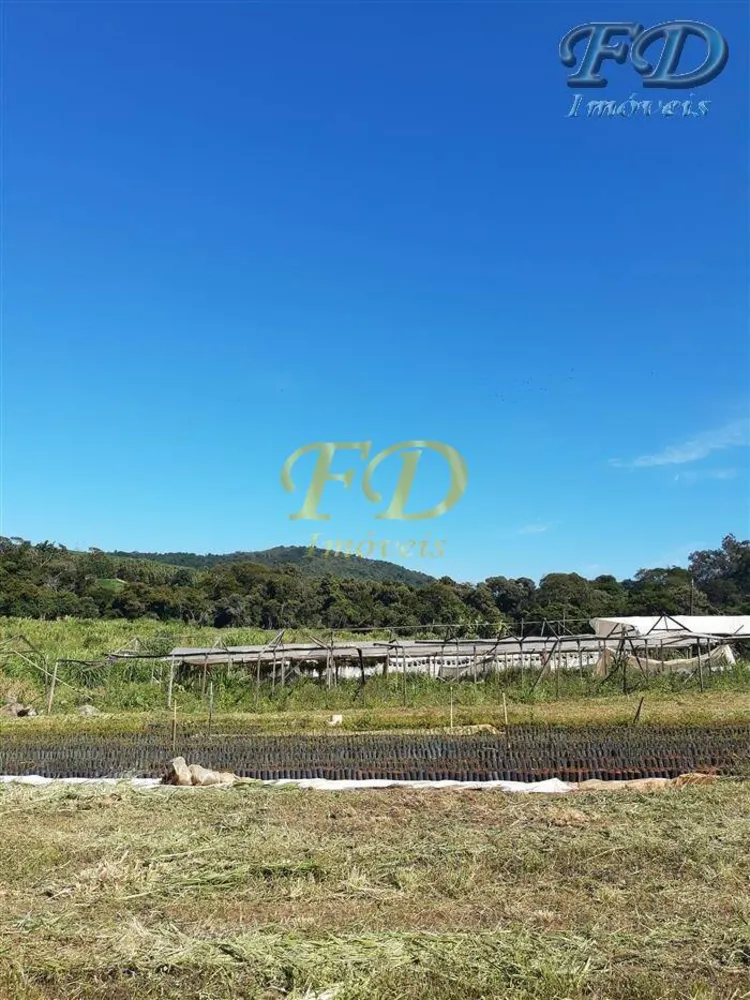 Terreno, 8 hectares - Foto 3