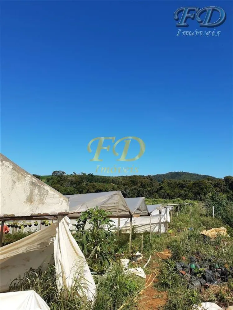 Terreno, 8 hectares - Foto 4