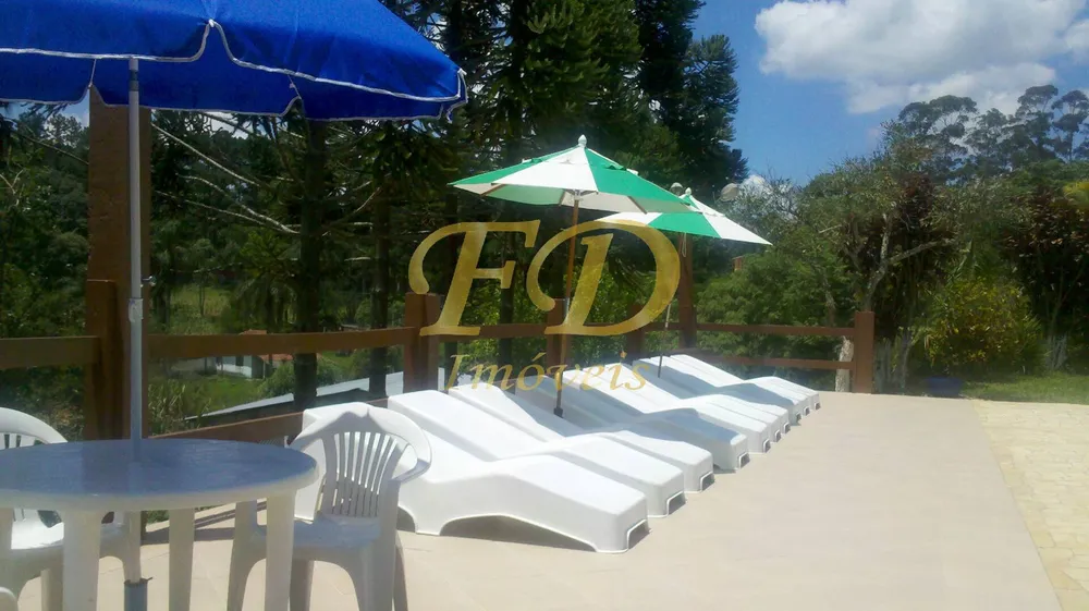 Terreno, 5 hectares - Foto 8