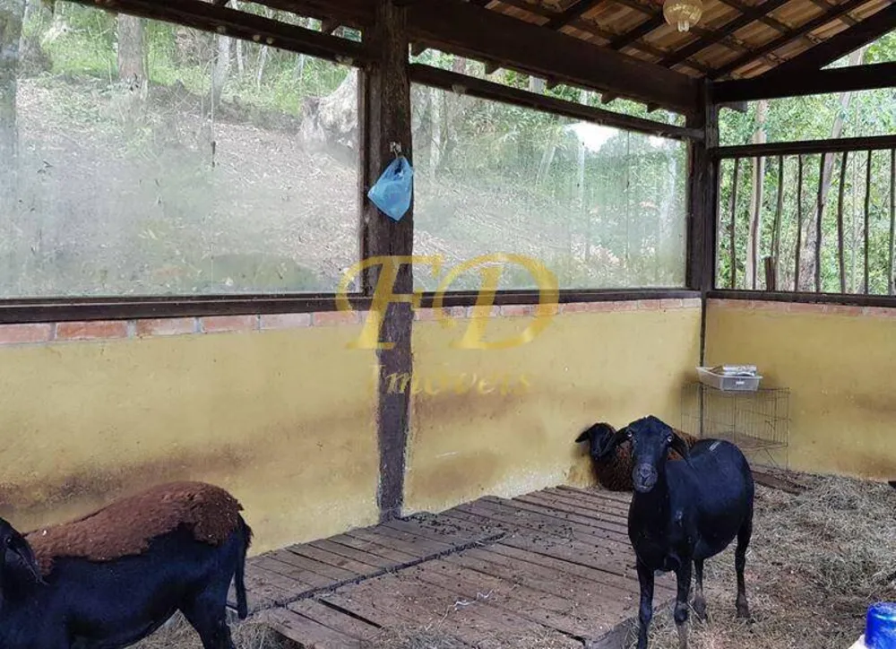 Sítio, 4 quartos, 5060 m² - Foto 6
