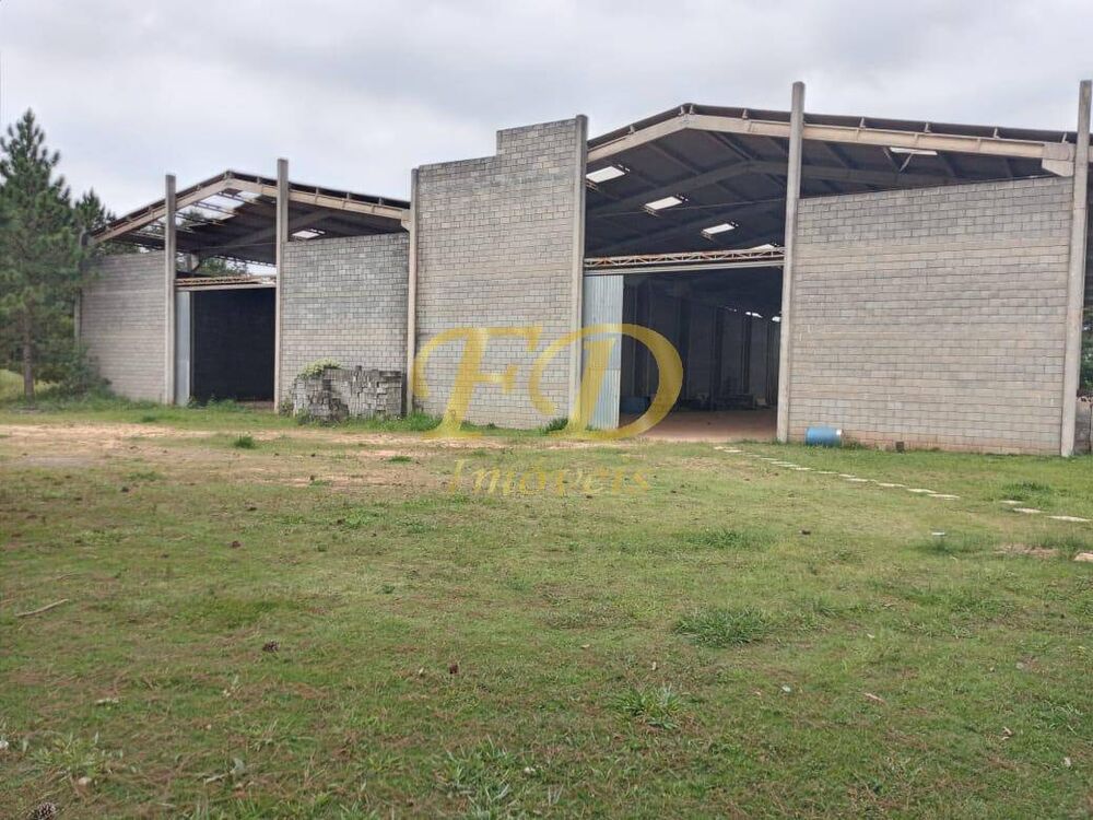 Depósito-Galpão, 2000 m² - Foto 1