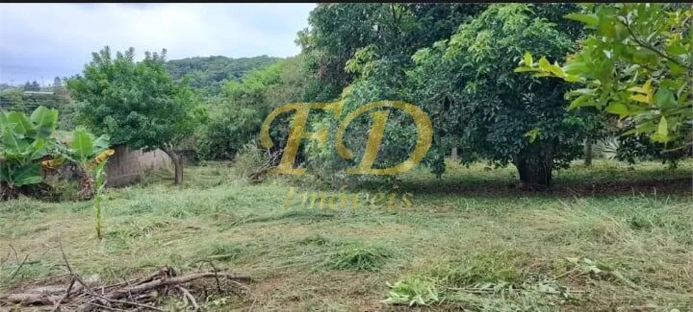 Prédio Inteiro - Foto 2