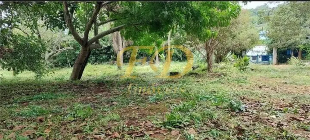 Prédio Inteiro - Foto 4