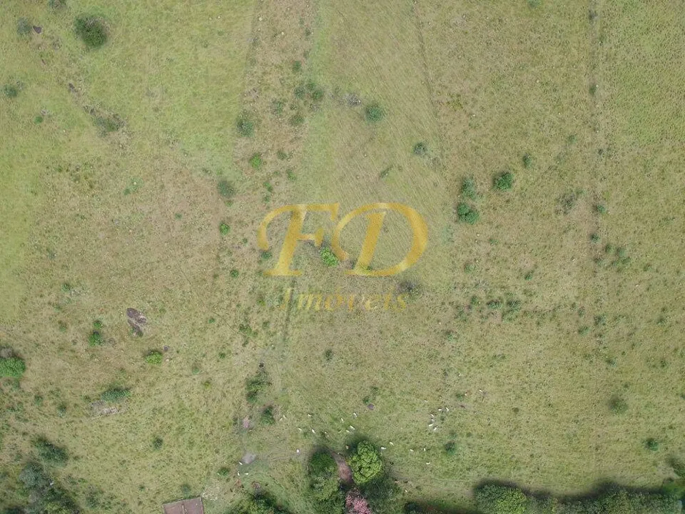Sítio, 3 quartos, 33 hectares - Foto 4