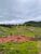 Terreno, 360 m² - Foto 3