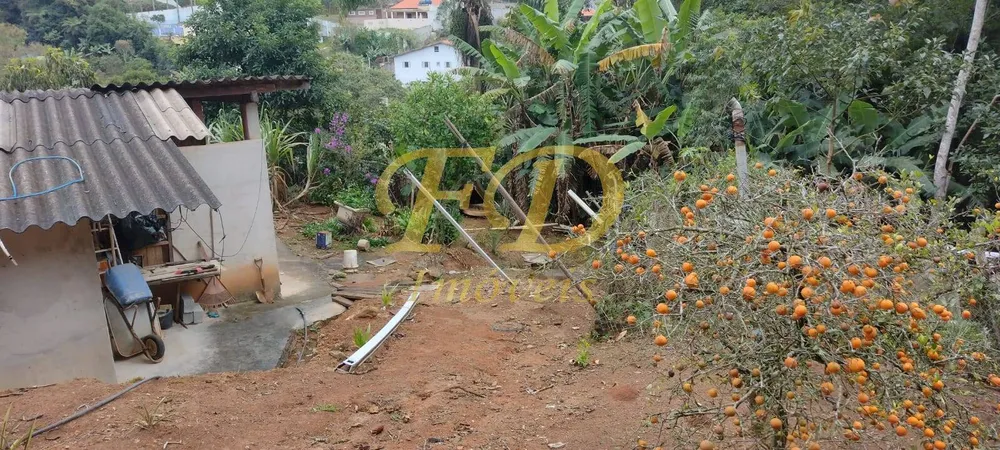 Chácara, 3 quartos, 1000 m² - Foto 5