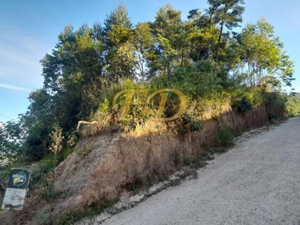 Terreno, 2 hectares - Foto 2