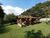 Terreno, 1 hectares - Foto 15