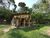 Terreno, 1 hectares - Foto 11