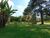 Terreno, 1 hectares - Foto 12