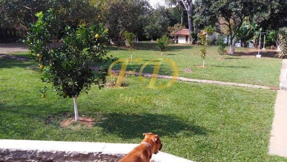 Sítio, 4 quartos, 2 hectares - Foto 11