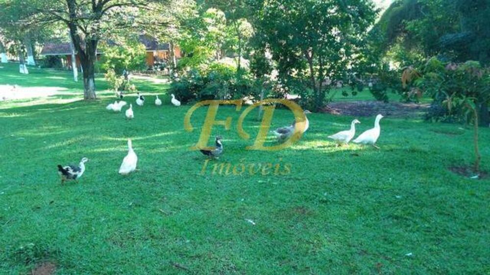 Sítio, 4 quartos, 2 hectares - Foto 10