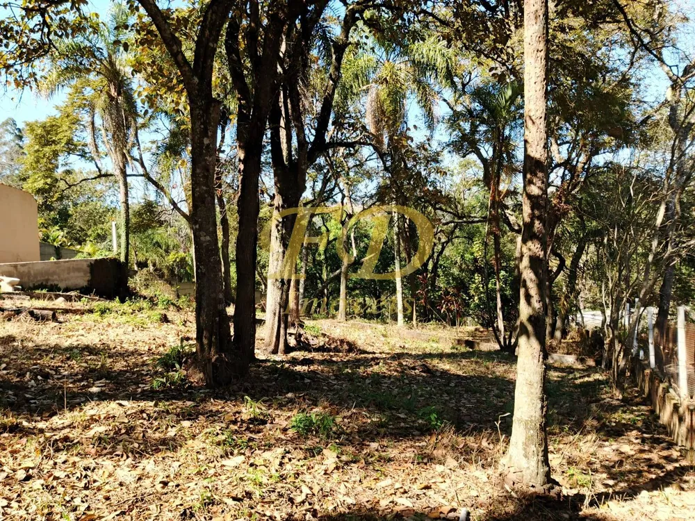 Terreno - Foto 5
