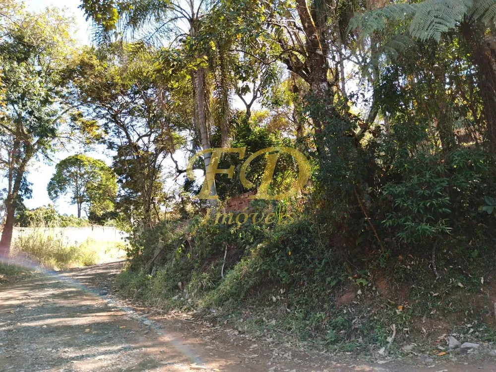 Terreno - Foto 8