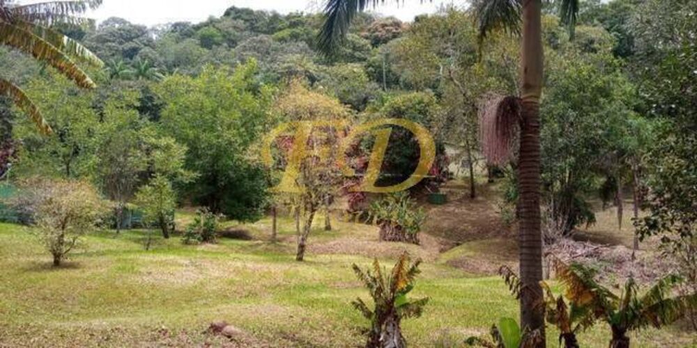 Chácara, 3 quartos, 6050 m² - Foto 4