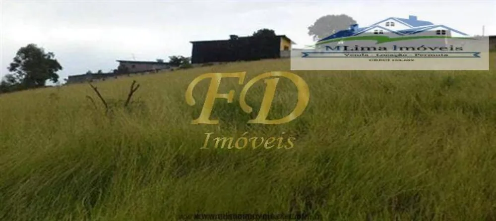 Terreno, 5 hectares - Foto 12