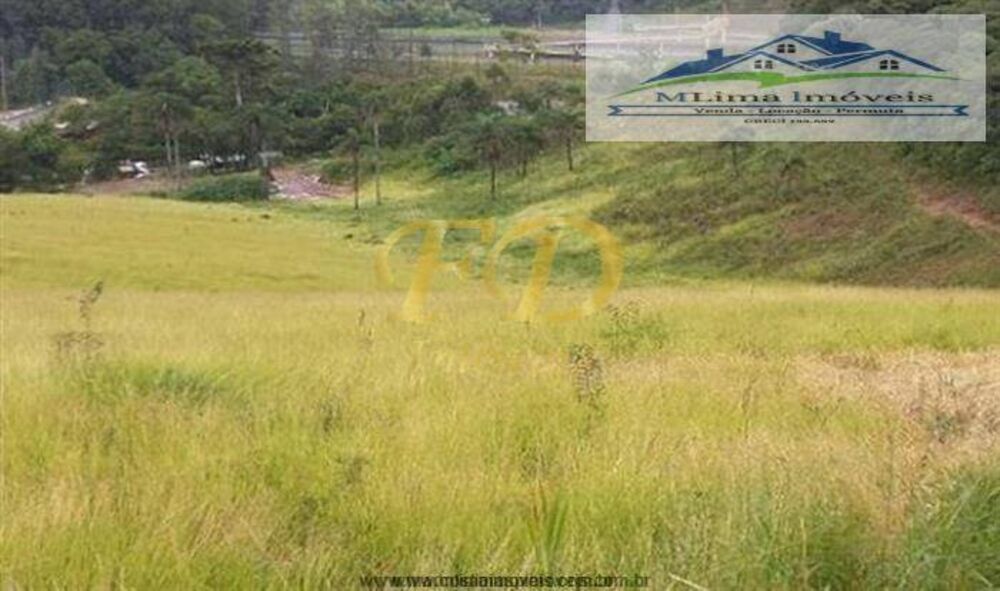 Terreno, 5 hectares - Foto 1