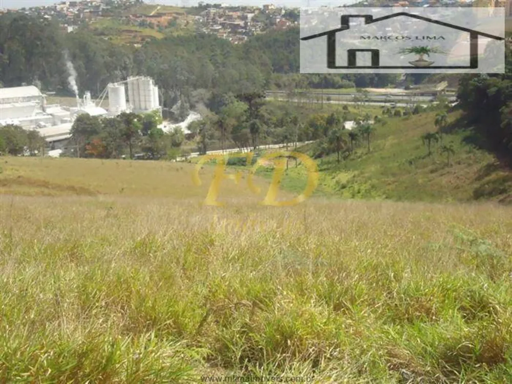 Terreno, 5 hectares - Foto 8