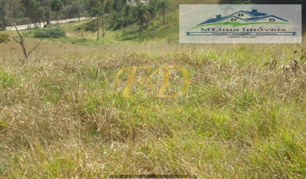 Terreno, 5 hectares - Foto 4
