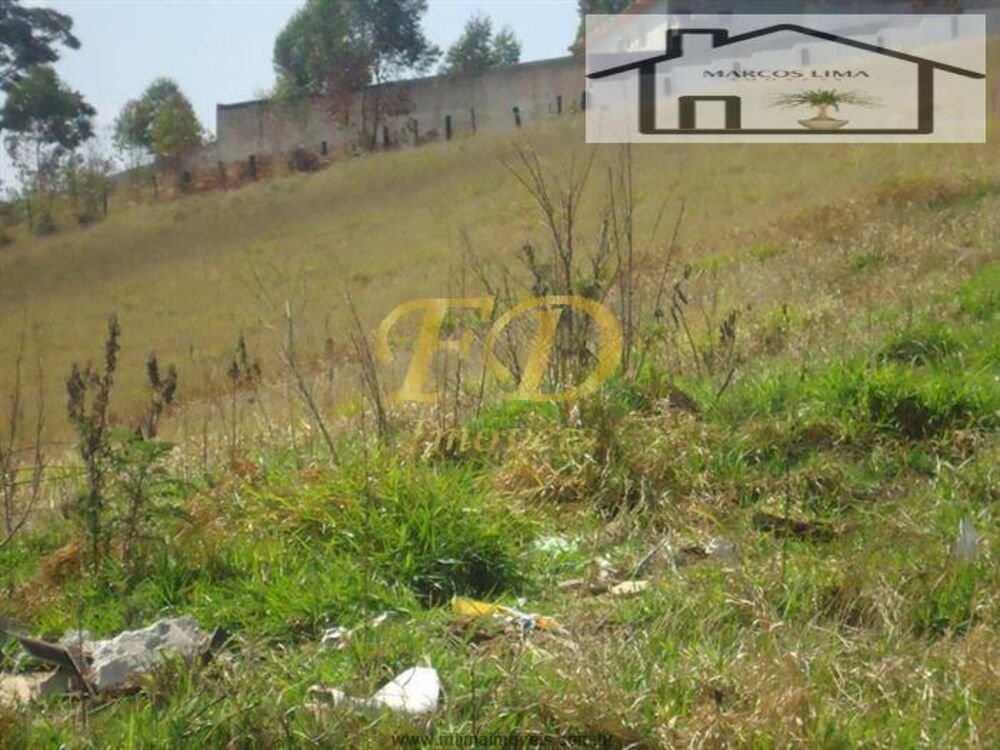 Terreno, 5 hectares - Foto 7