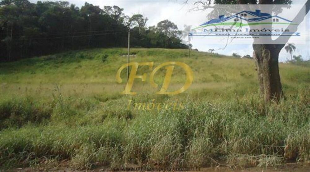 Terreno, 5 hectares - Foto 11