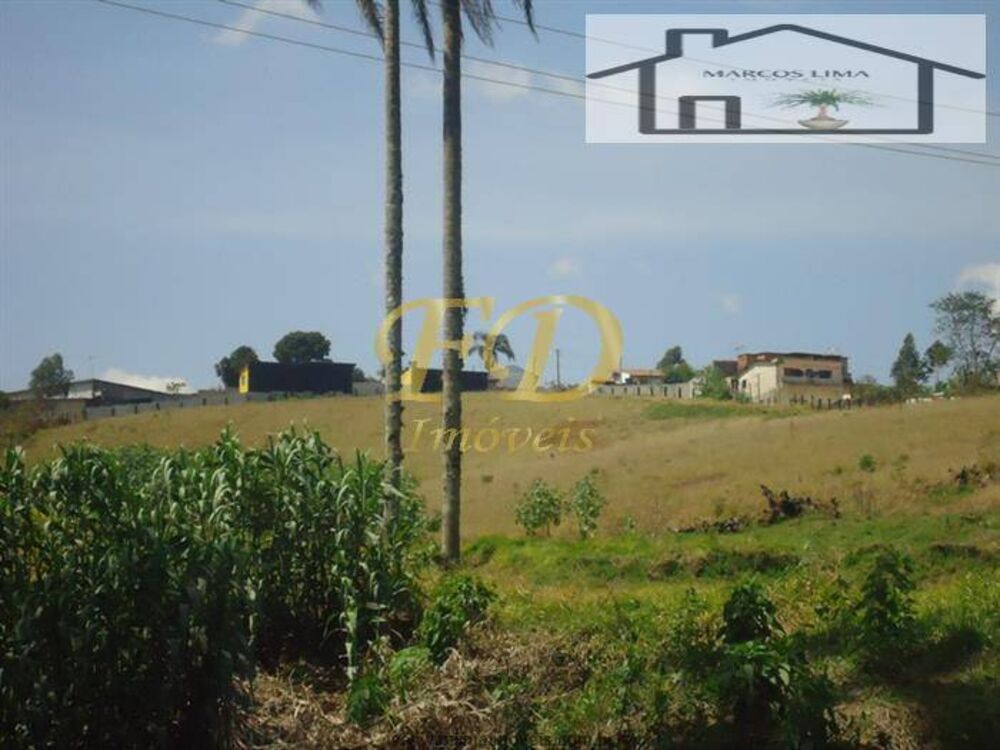 Terreno, 5 hectares - Foto 2