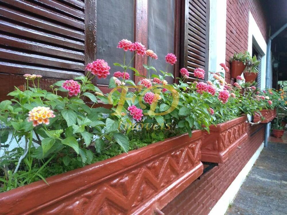 Chácara, 3 quartos, 7200 m² - Foto 6