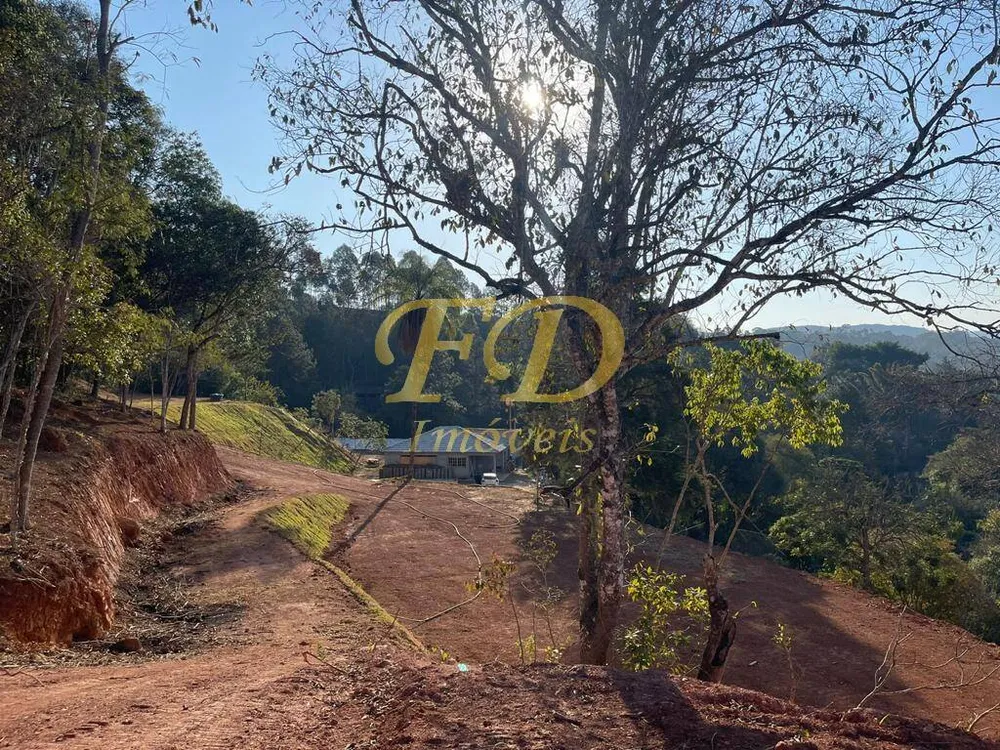 Terreno, 5 hectares - Foto 7