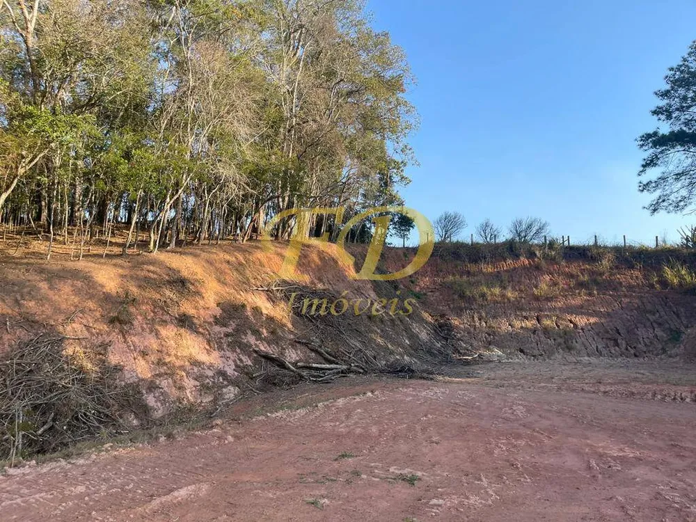 Terreno, 5 hectares - Foto 4