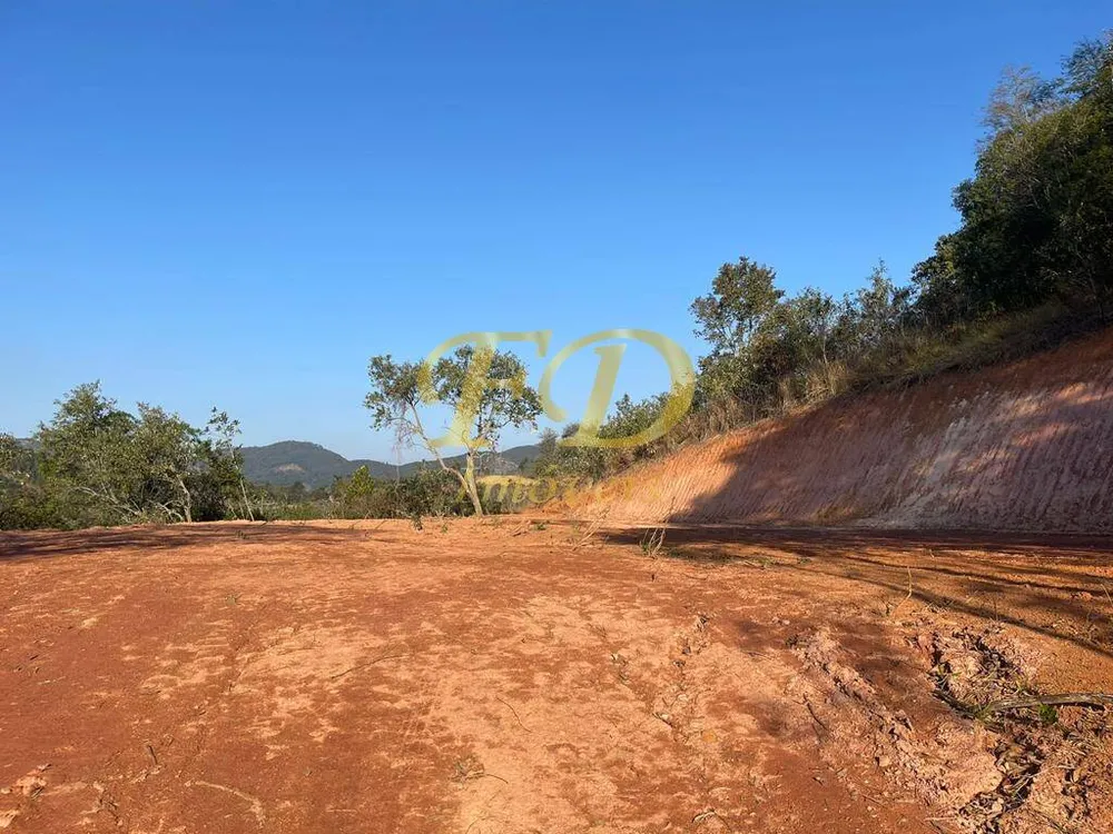 Terreno, 5 hectares - Foto 6